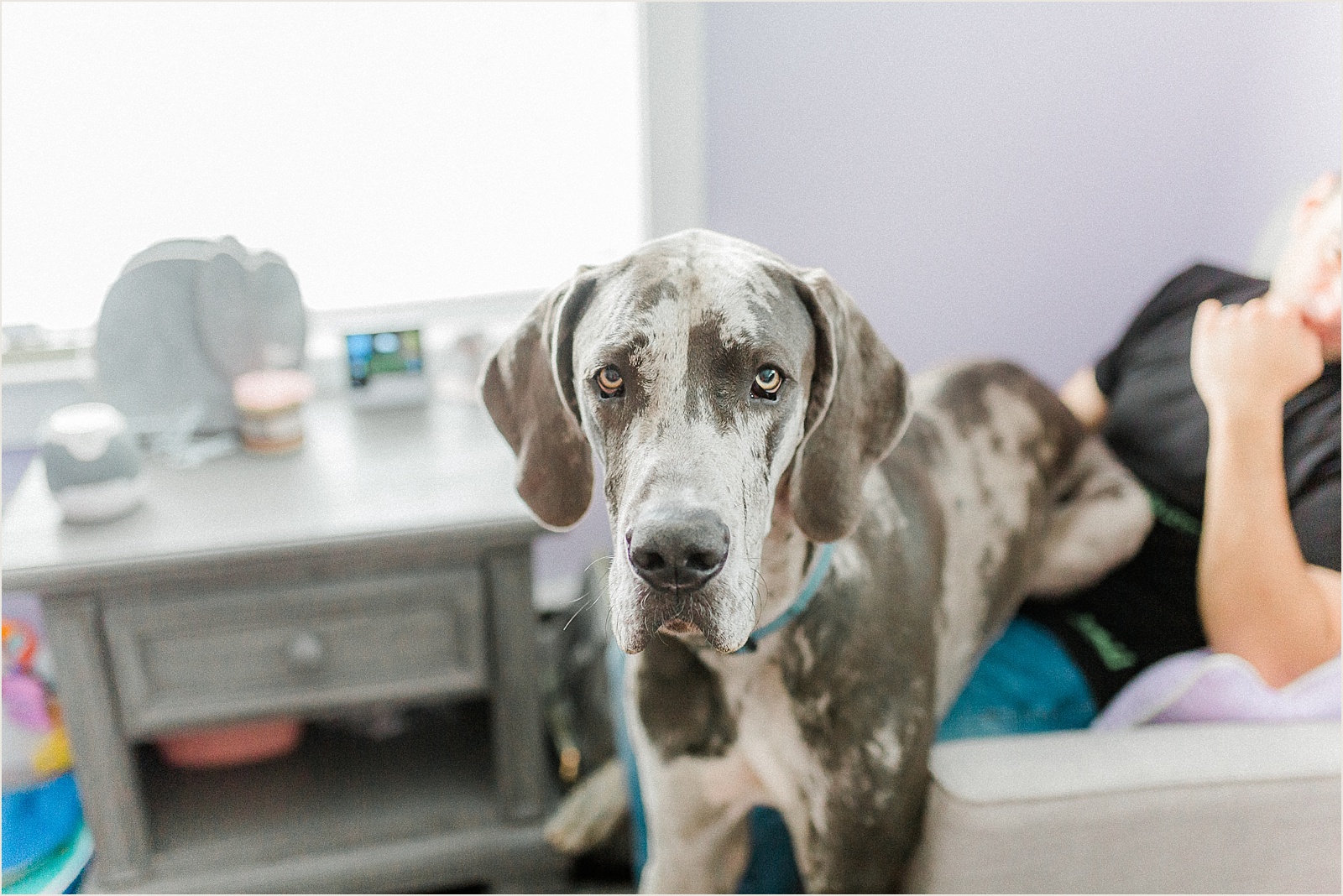 Lancaster Lifestyle Photographer