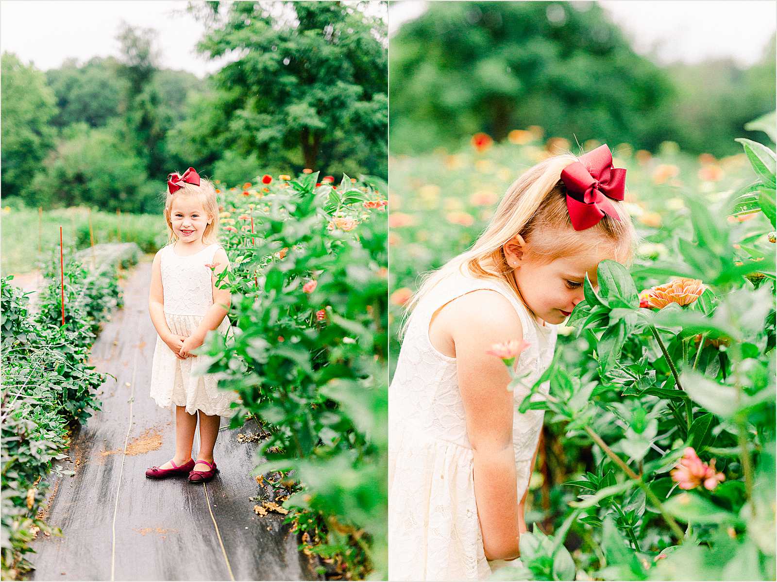 Mechanicsburg PA Family Photographer